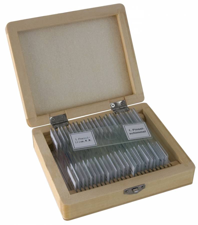 Bresser Prepared Slides 25pcs per box – 59-86001