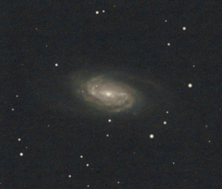 NGC 2903 by John Copithorne - 105 X 60 sec (1hr 45min) ***Equipment*** Imaging Scope - Celestron Astromaster 130 Imaging Camera - ASI 120MC-S Guide Scope - Sky-Watcher Evoguide 50DX Guide Camera - ASI 120MM Mini Mount - Sky-Watcher EQ6R-Pro ASI AIR PLUS ***Software*** ASTAP Siril RegiStax