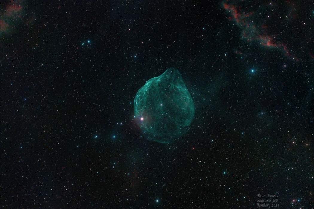 Sharpless 308 by Brian Vinci - (Novice) Imaged on Jan 8, 2025 with ASI2600 MC Pro with a C8 Hyperstar and Idas NBZ filter and AM5 mount. 83x180s exposures. Processed in PixInsight.